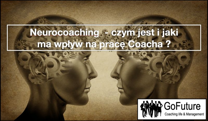 Neurocoaching- czym jest i jaki ma wpływ na pracę Coacha?