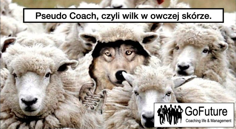 Pseudo Coach, czyli Wilk w owczej skórze.